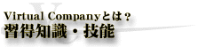 about virtualcompany