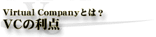 about virtualcompany