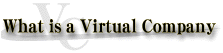 about virtualcompany