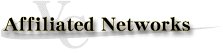 about virtualcompany